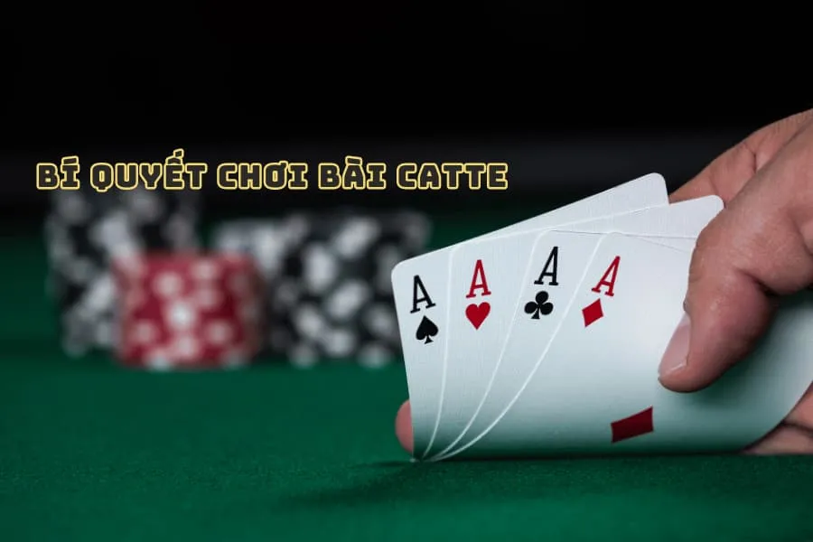 bí quyết chơi bài catte