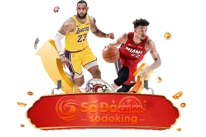 cá-cược-bóng-rổ