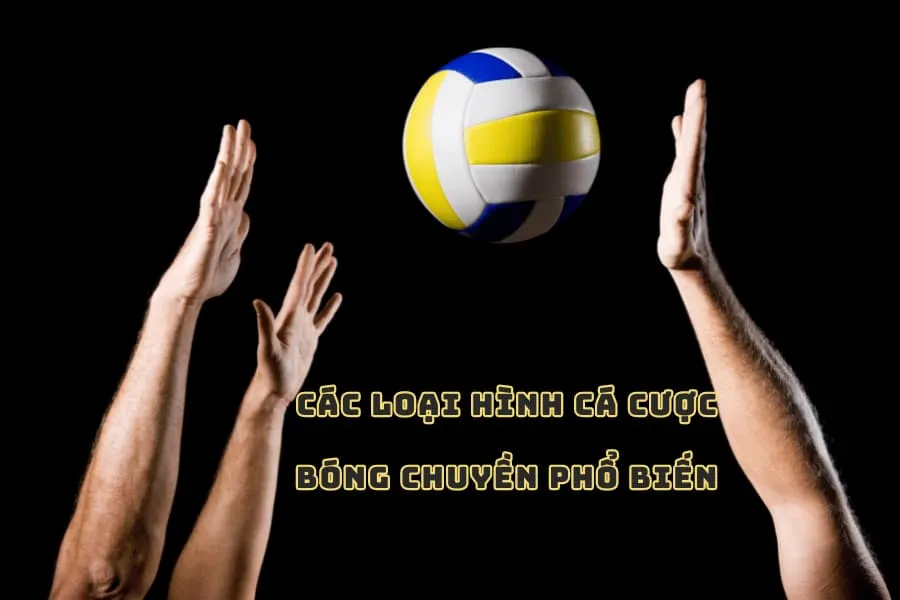 các loại hình cá cược bóng chuyền phổ biến