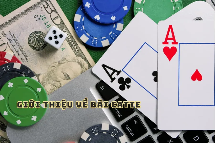 giới thiệu về bài catte