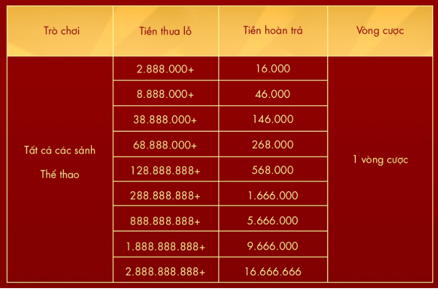 thể thao hoàn thua sodo