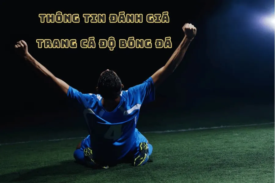 thông tin đánh giá trang cá độ bóng đá