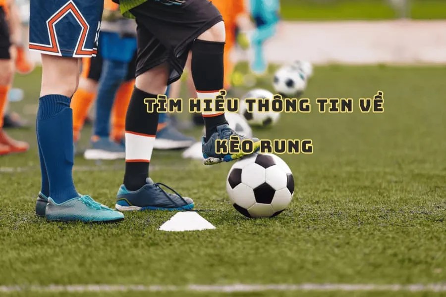 tìm hiểu thông tin về kèo rung