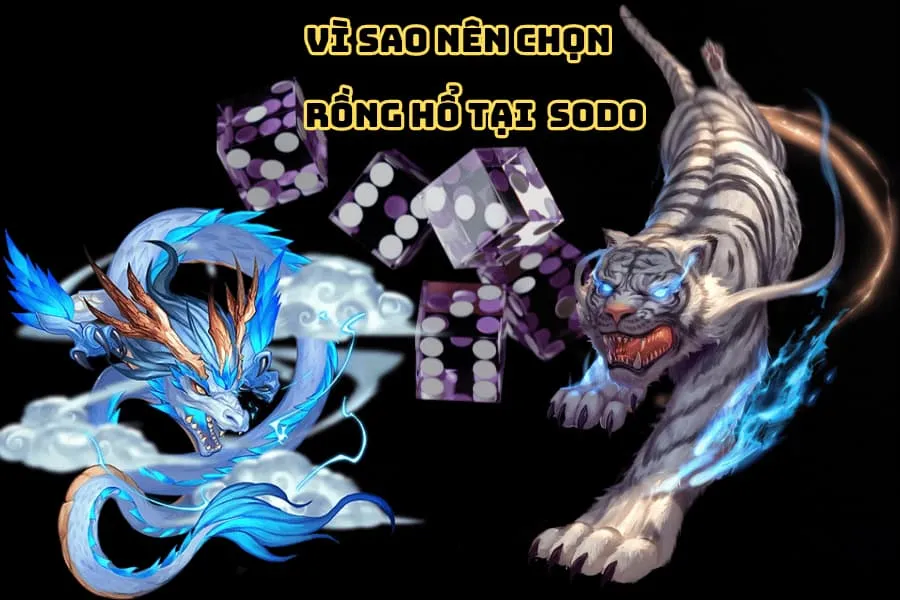 vì sao nên chọn rồng hổ
