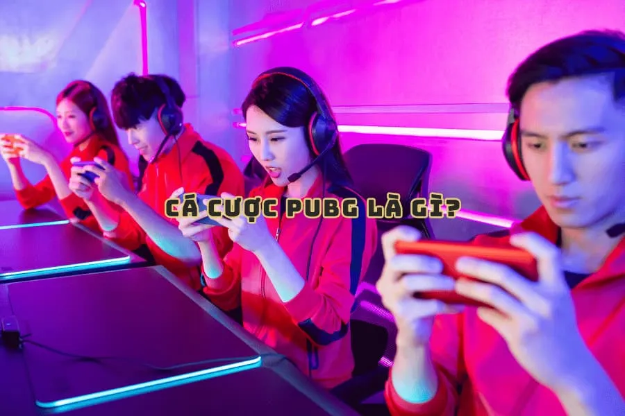 cá cược pubg là gì